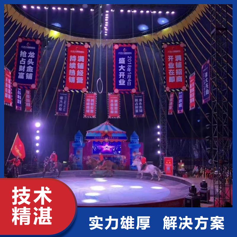 马戏团/羊驼出租海狮表演价格公道