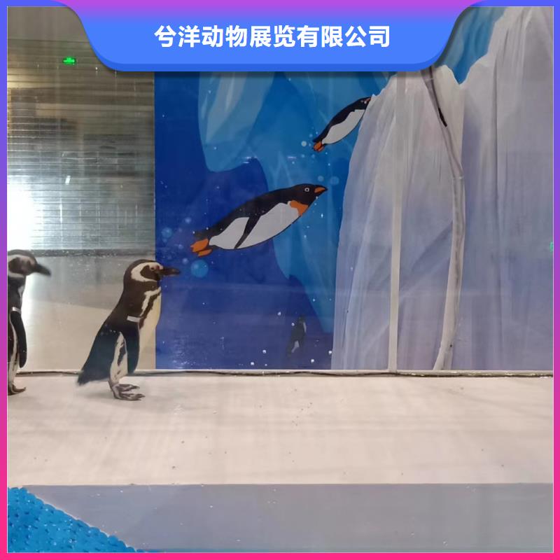 海洋主题动物表演水族海洋展专业团队