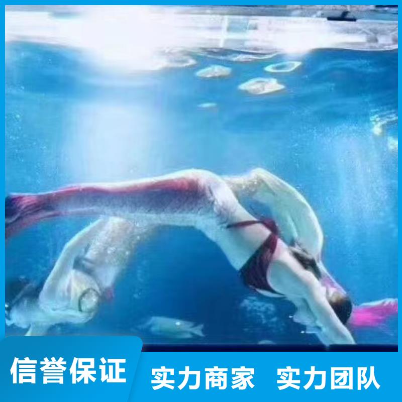 海洋主题动物表演房地产开盘庆典靠谱商家