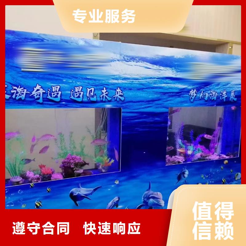 海洋主题动物表演_【活体羊驼租赁】欢迎询价