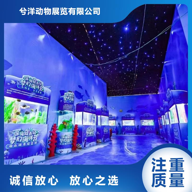 【海洋主题动物表演】水族海洋展欢迎询价