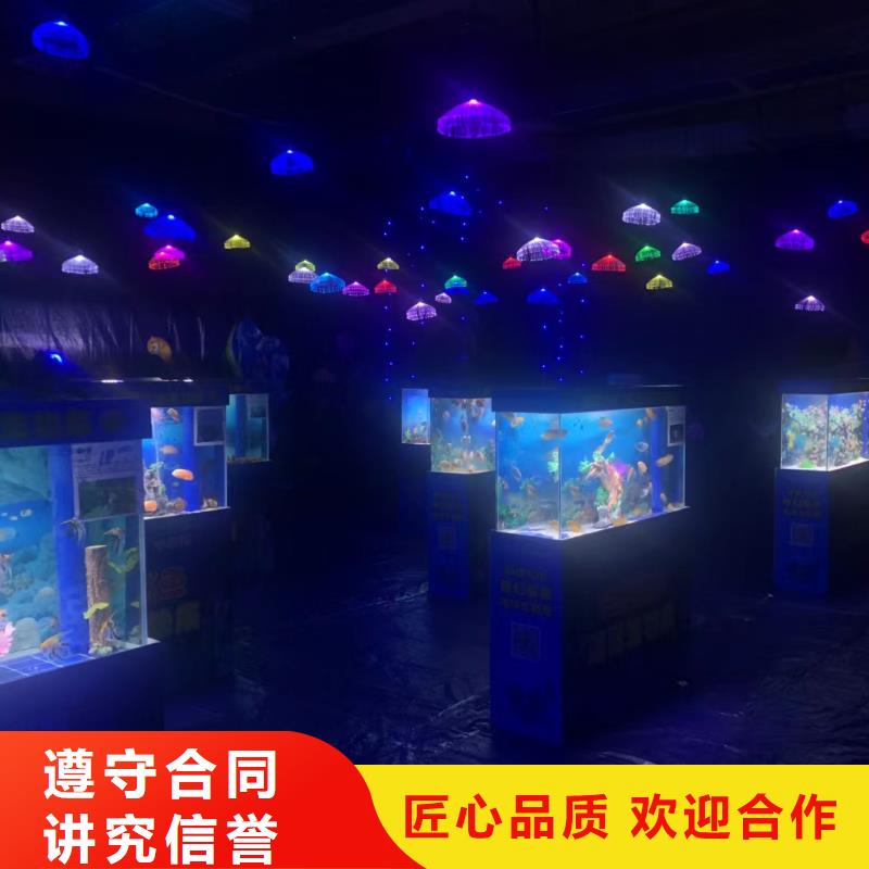 海洋主题动物表演-海狮表演出租方便快捷