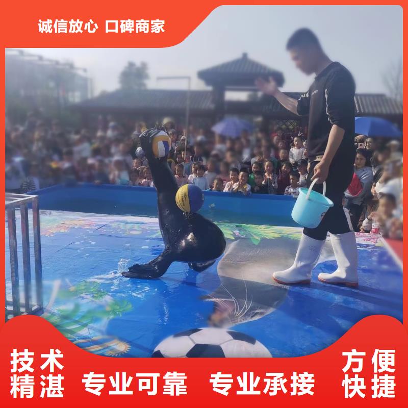 海洋主题动物表演水族海洋展专业团队