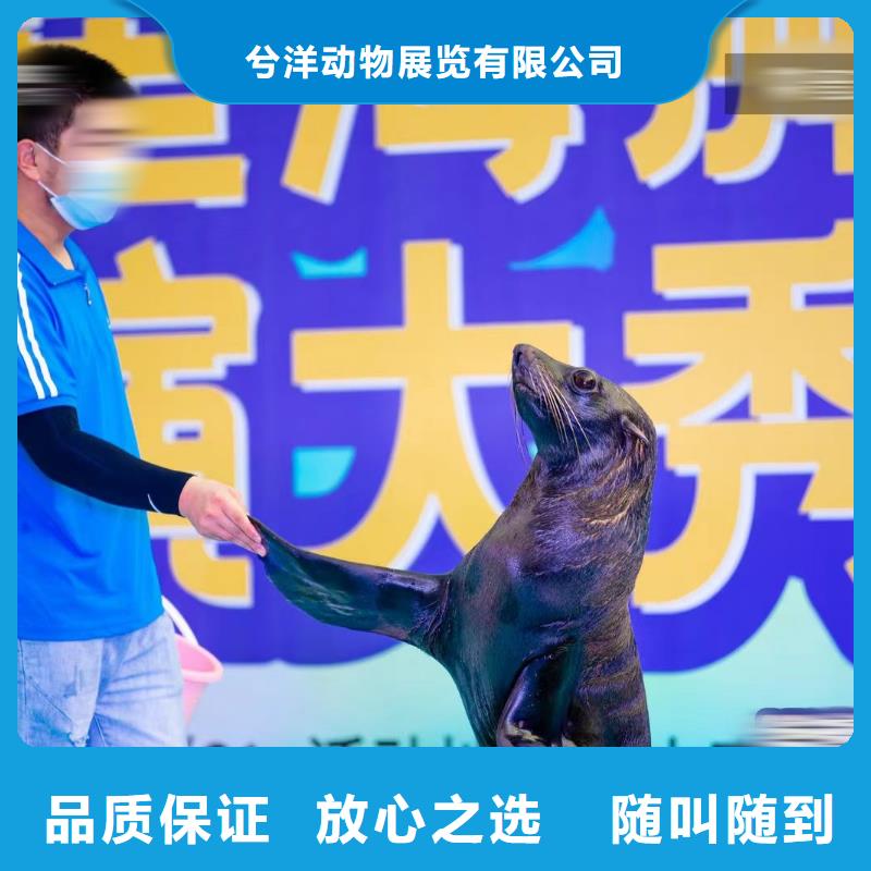 海洋主题动物表演水族海洋展省钱省时