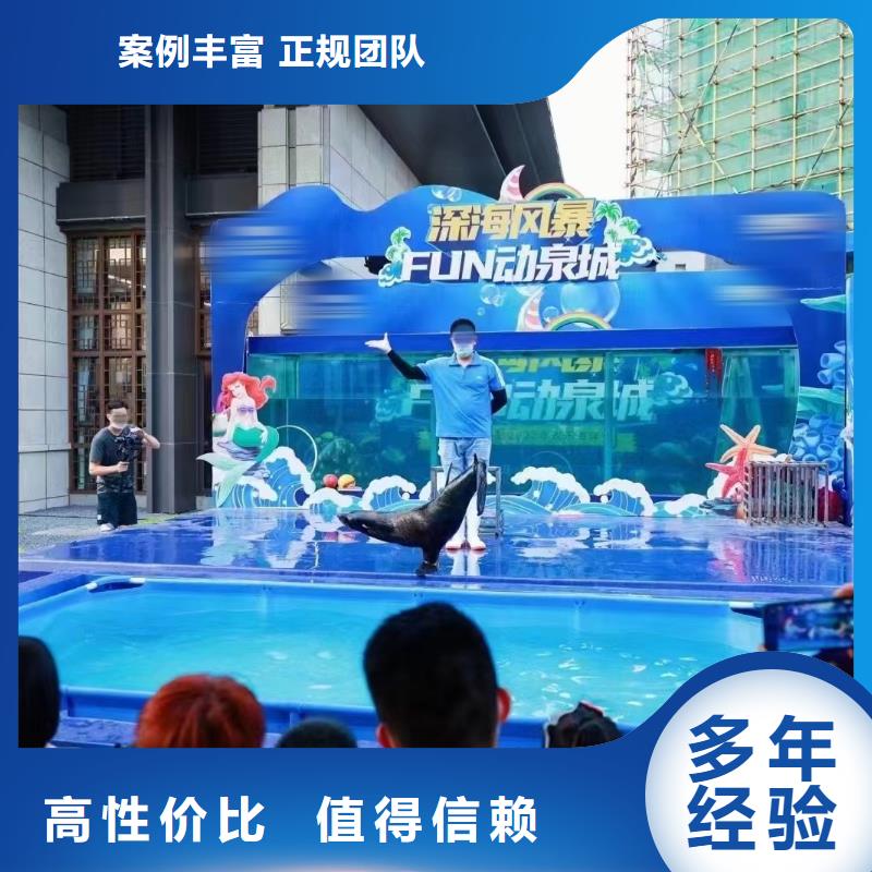 海洋主题动物表演水族海洋展专业团队