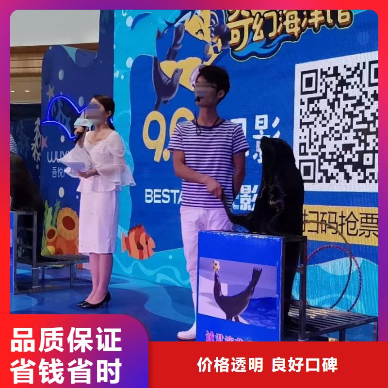 海洋主题动物表演马戏团表演出租租赁靠谱商家