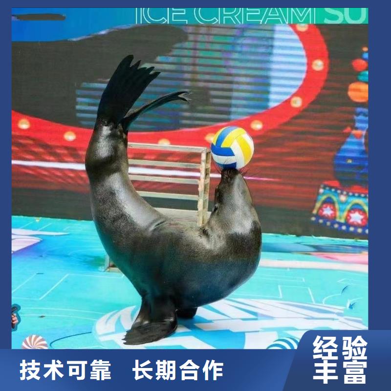 【海洋主题动物表演】鹦鹉表演有实力