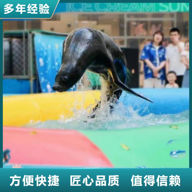 海洋主题动物表演水族海洋展省钱省时