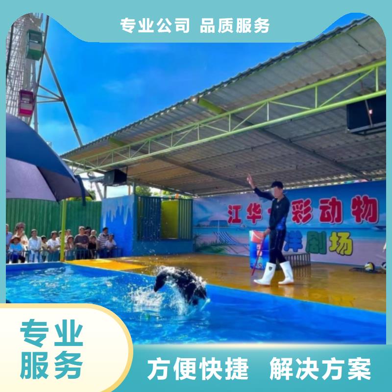 【海洋主题动物表演】水族海洋展欢迎询价