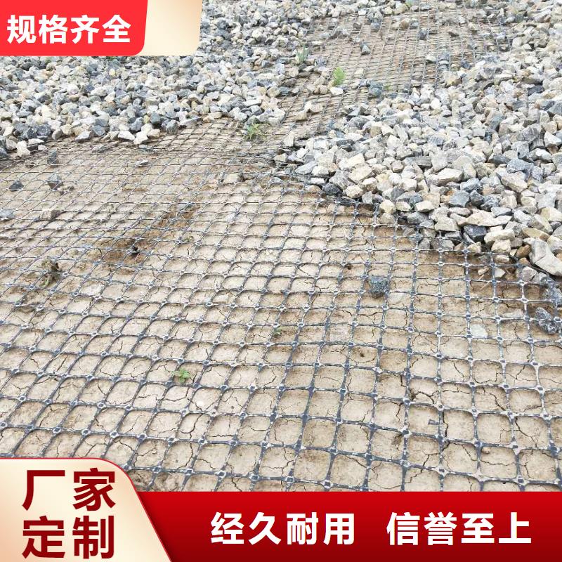 土工格栅\抗裂贴双向塑料土工格栅销售的是诚信