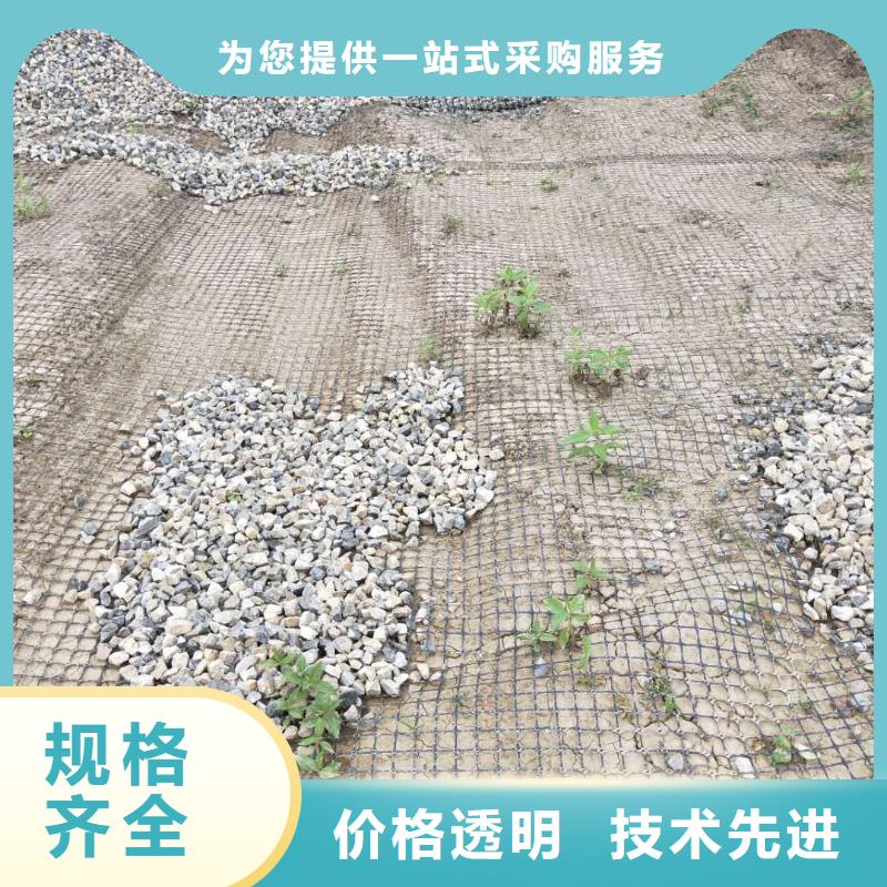 土工格栅\抗裂贴_钢塑土工格栅专业供货品质管控