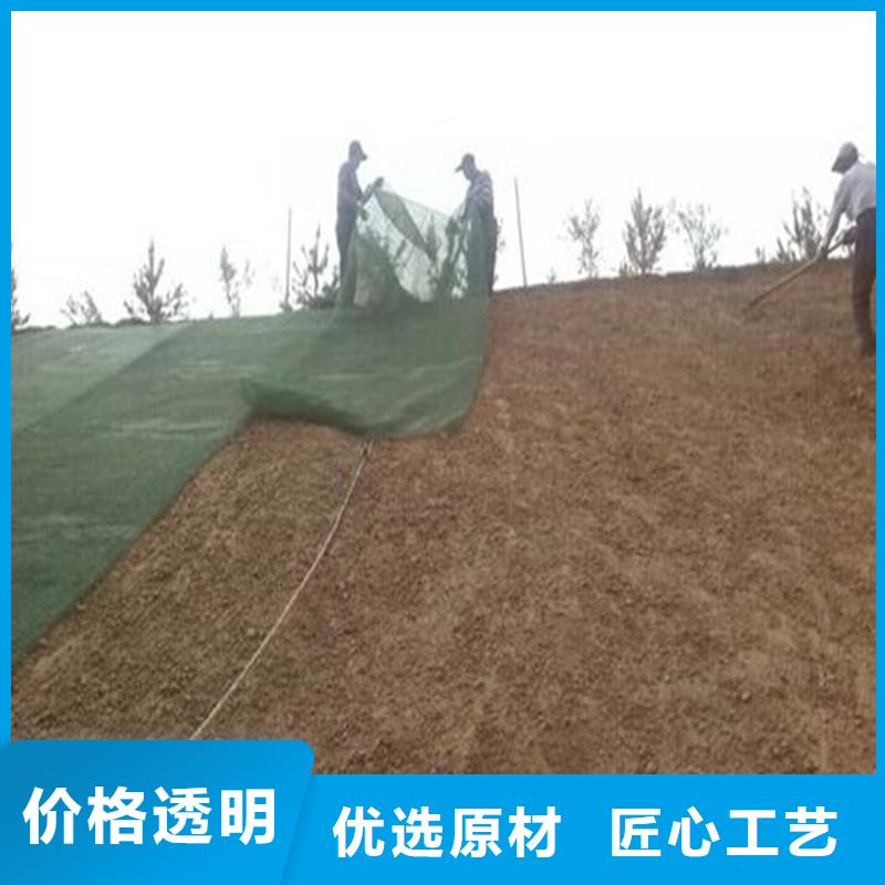 【土工布玻纤土工格栅按需定制】