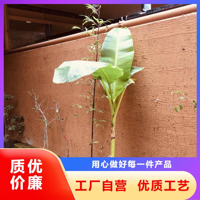 生态稻草漆全包施工