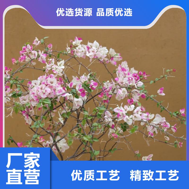 景区建筑稻草漆厂家定制