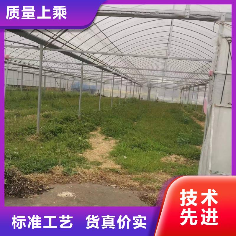 连栋大棚多少钱一平方现货供应