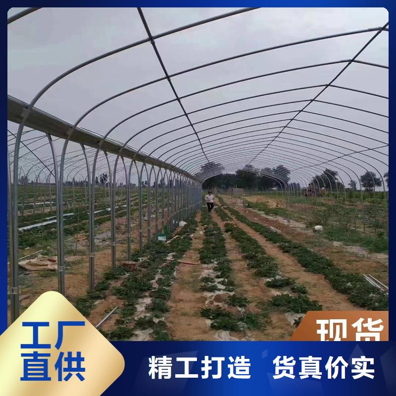 广东省汕头市胪岗镇蔬菜大棚价格发货快