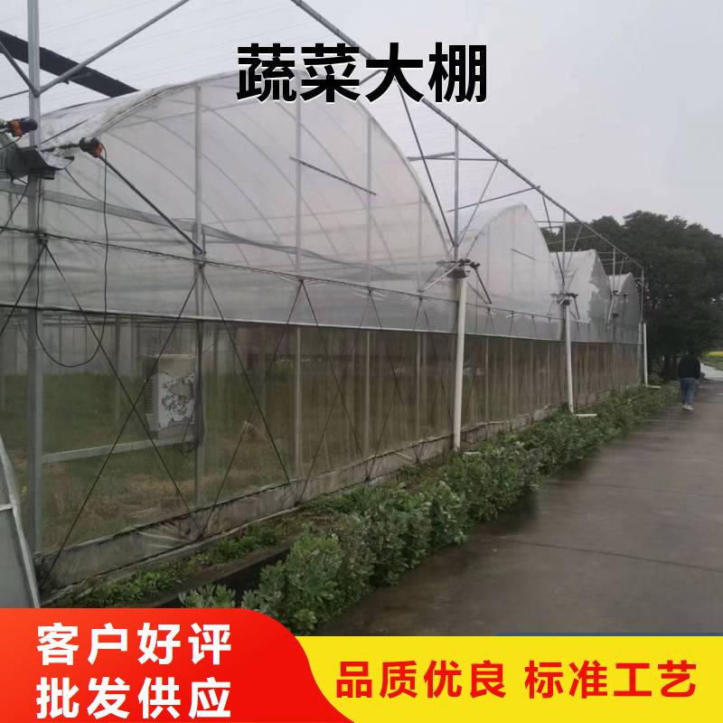 县芒果大棚管现货供应