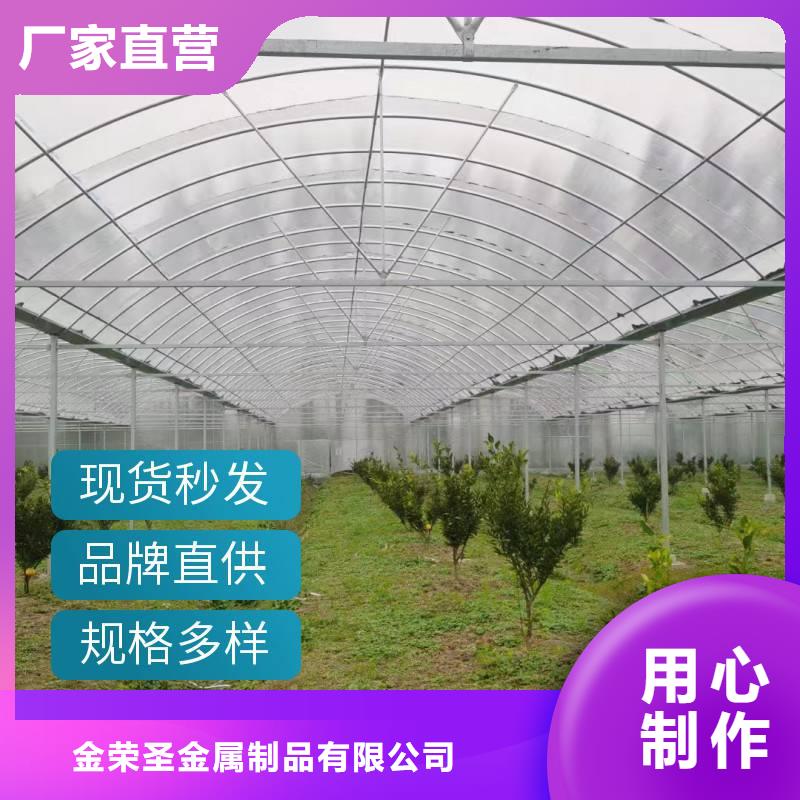 广东省珠海市吉大街道灵芝大棚钢管工厂直销