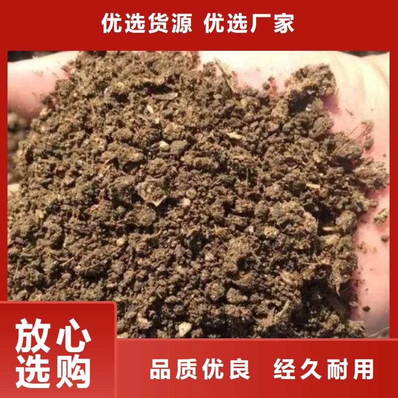 干鸡粪提升土壤肥力