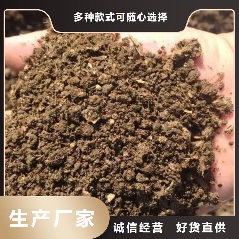 发酵鸡粪菜农知道