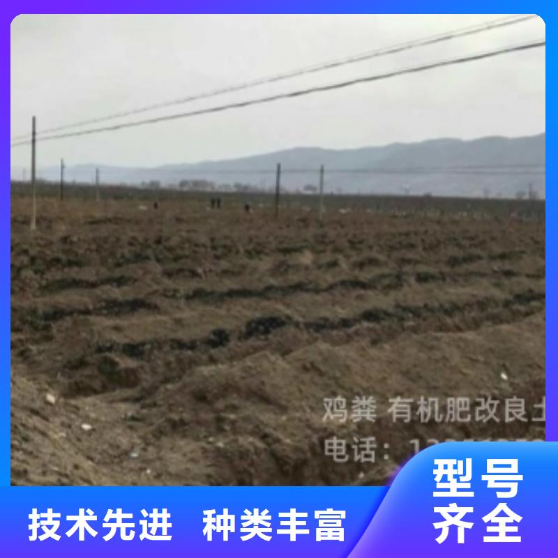 珠海市万山镇有机肥提升土壤肥力