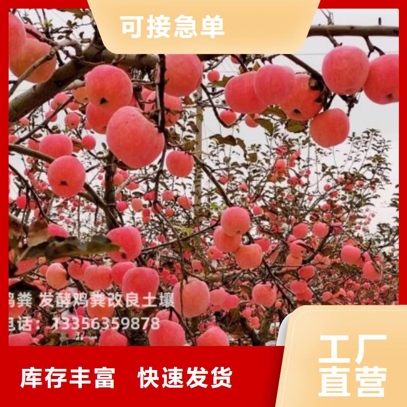 发酵鸡粪节本增效