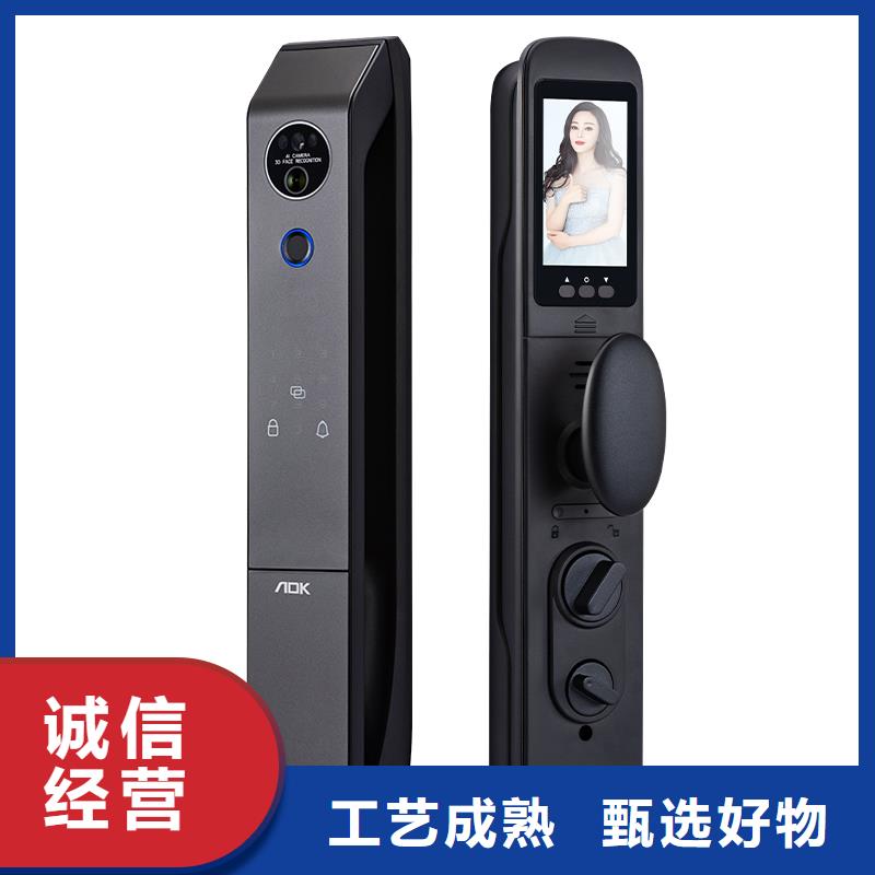 智能锁人脸识别智能锁公司品质保证