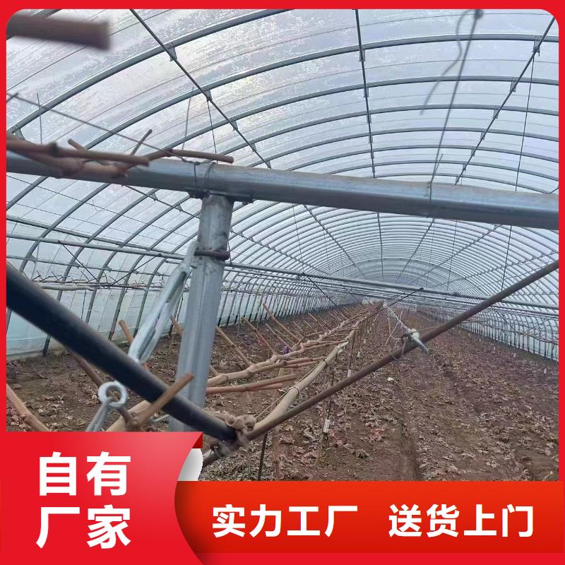 【温室大棚,角驰夹具货源足质量好】