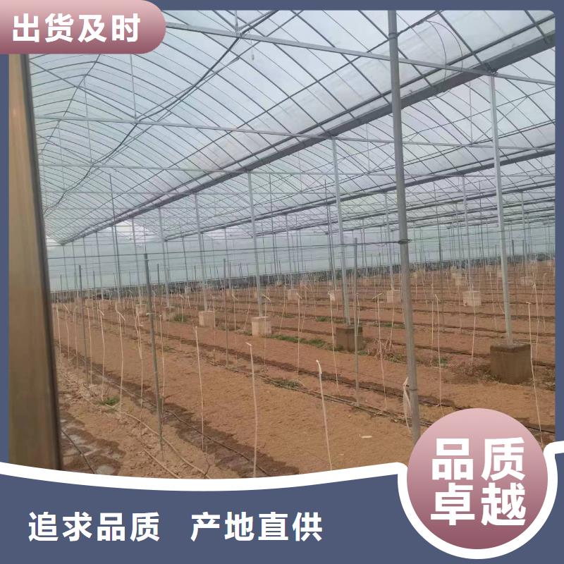 温室大棚【光伏支架】一手价格