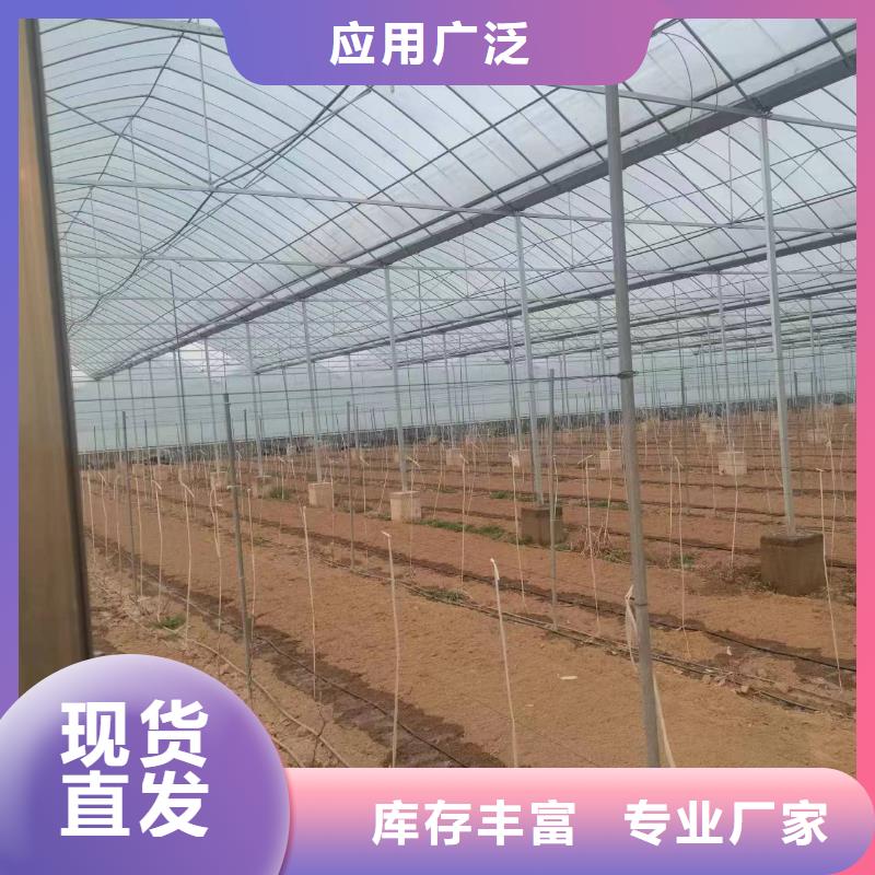 温室大棚【太阳能光伏支架】加工定制