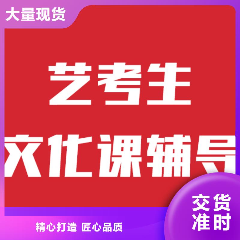 一般预算，艺考文化课培训
有哪些？
