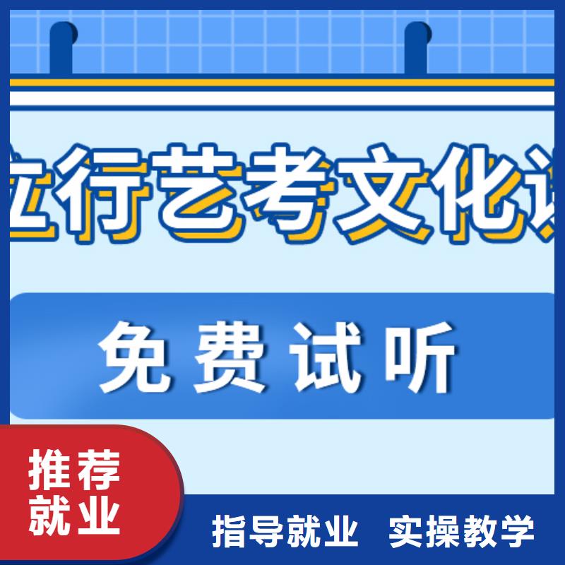 【艺考文化课补习艺考辅导正规学校】