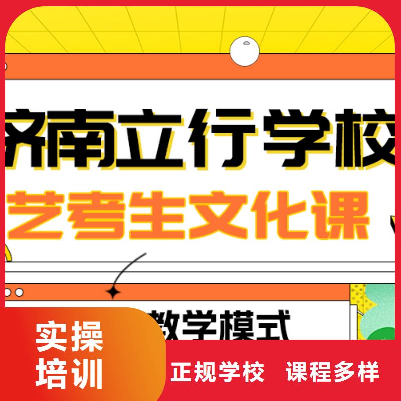 艺术生文化课艺考复读清北班理论+实操