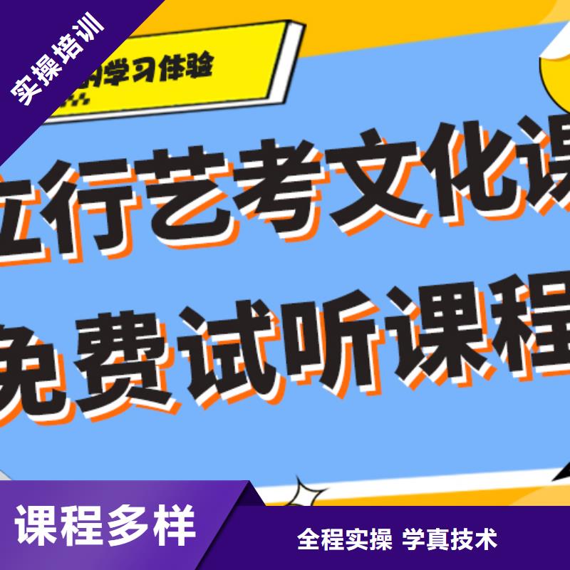 艺考生文化课,【高中一对一辅导】正规学校