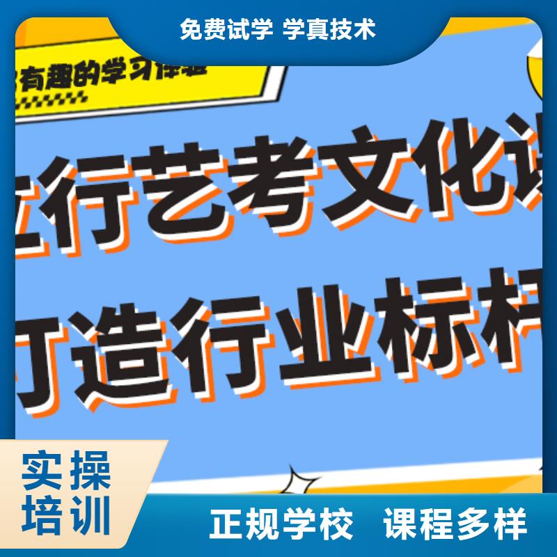 艺考生文化课【艺考培训机构】实操培训