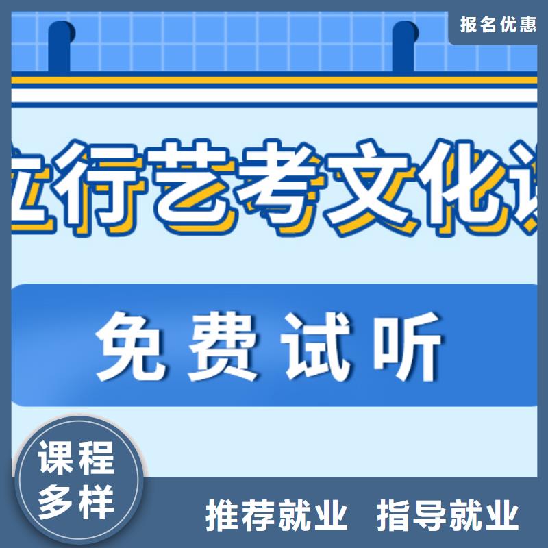 【艺考文化课_艺考一对一教学理论+实操】