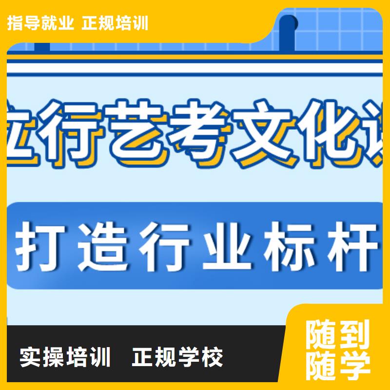 【艺考文化课_艺考一对一教学理论+实操】