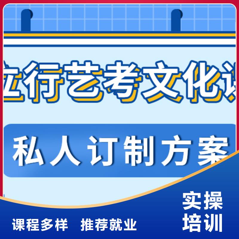 【艺考文化课】,高考语文辅导学真本领