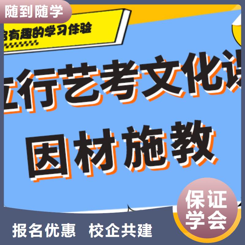 【艺考文化课_艺考一对一教学理论+实操】