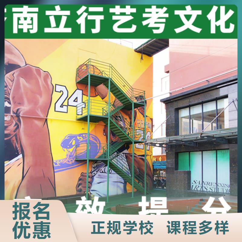 艺考生文化课冲刺,高考小班教学课程多样