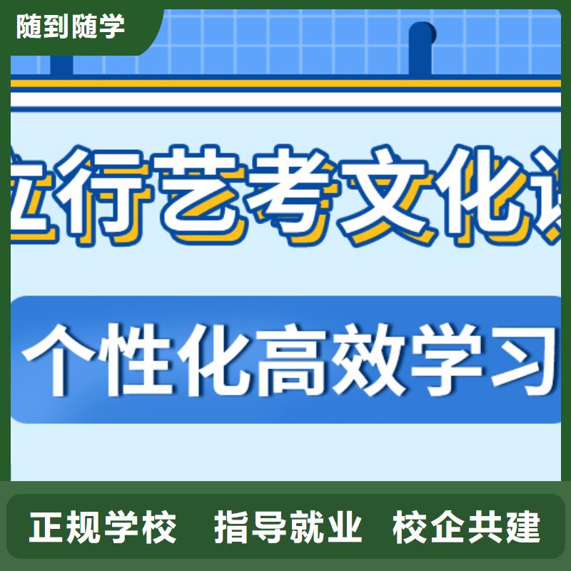 艺术生文化课补习学校比较好的排行榜