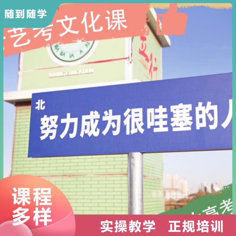艺考文化课集训班-高考化学辅导实操教学