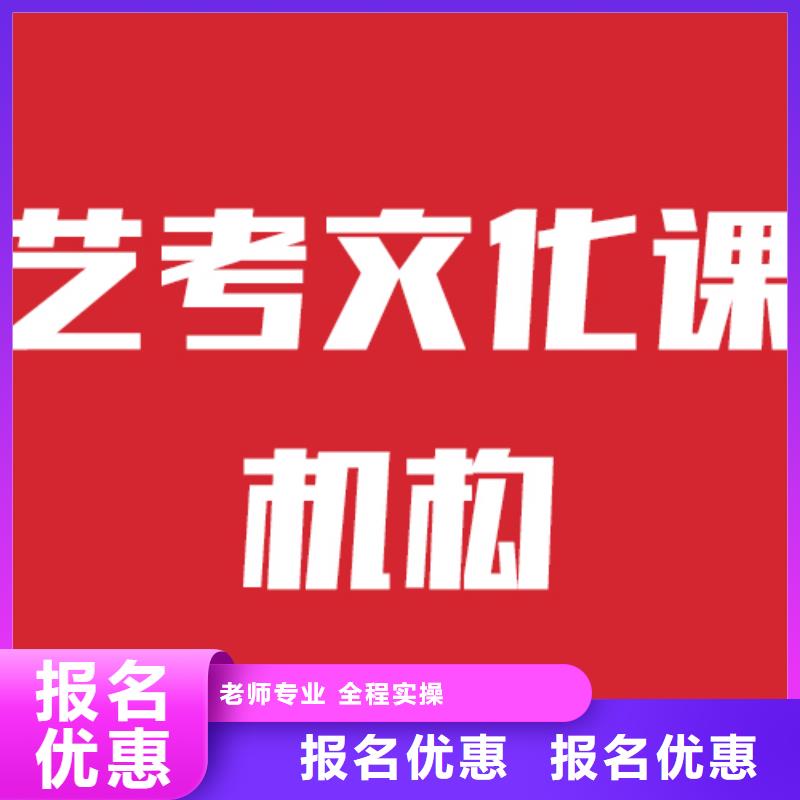 有没有艺考生文化课补习机构要师资好的