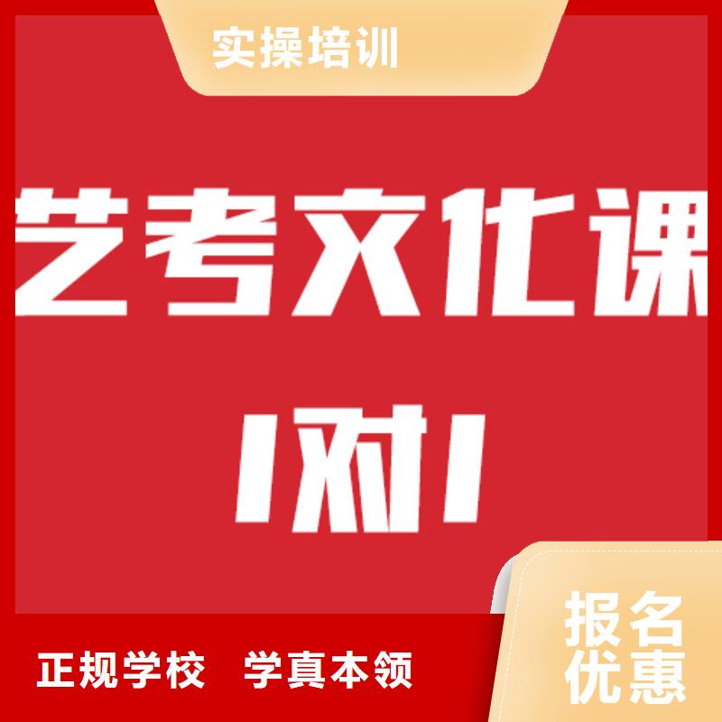 艺术生文化课辅导有几所学校他们家不错，真的吗