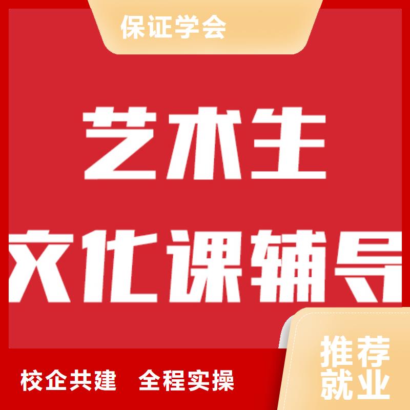 艺术生文化课补习班招生他们家不错，真的吗