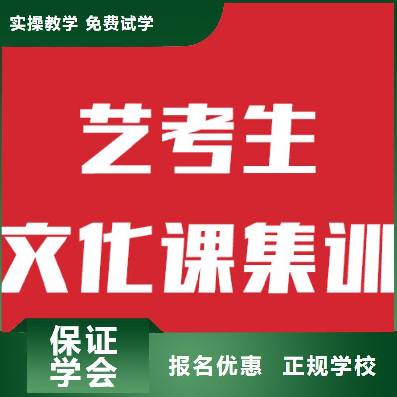 艺术生文化课补习学校一年学费地址在哪里？