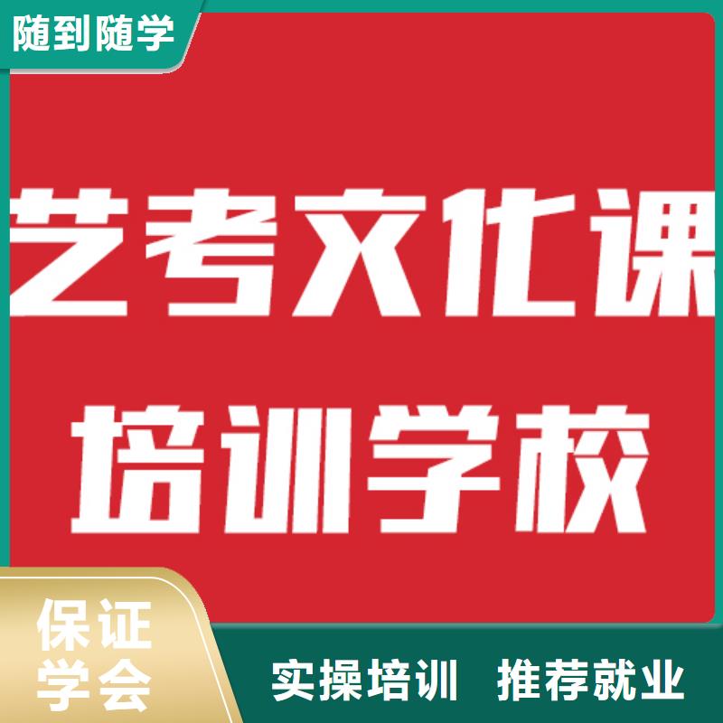 艺术生文化课补习机构有几所他们家不错，真的吗