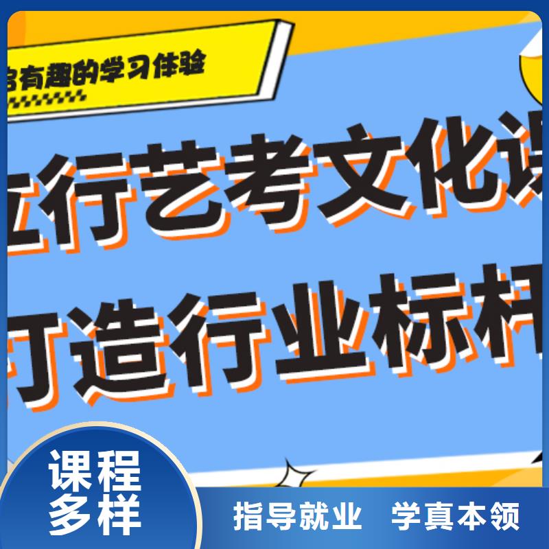 艺术生文化课集训冲刺学费省重点老师教学