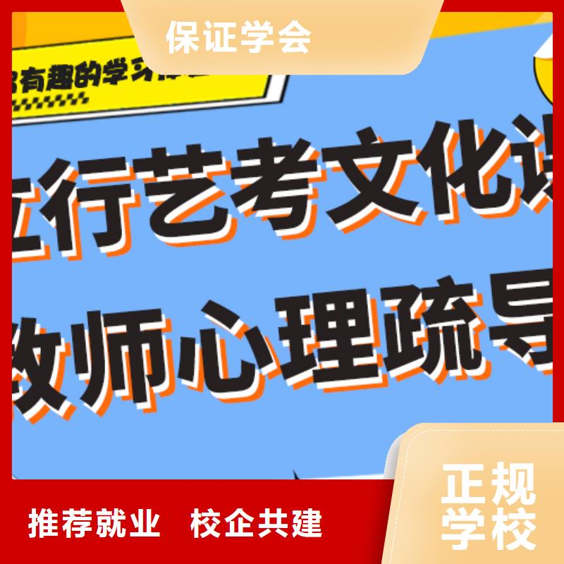 艺术生文化课集训冲刺学费省重点老师教学