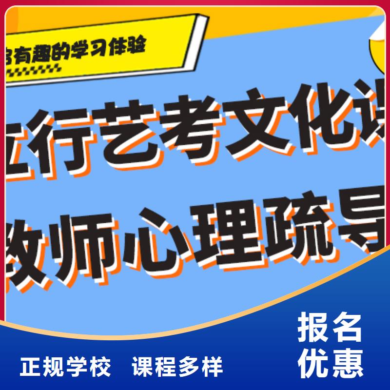 艺术生文化课补习机构怎么样强大的师资配备